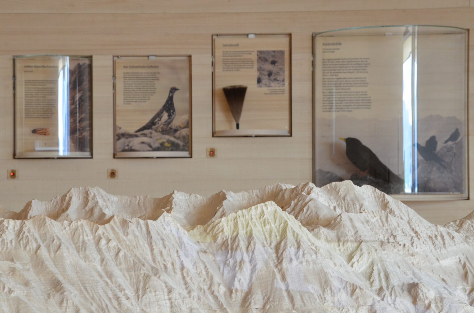 Ein detailgetreues Modell des Naturraums Karwendel wird vor Informationstafeln mit Vögeln, einem Besen und Text in einem musealen Umfeld präsentiert.