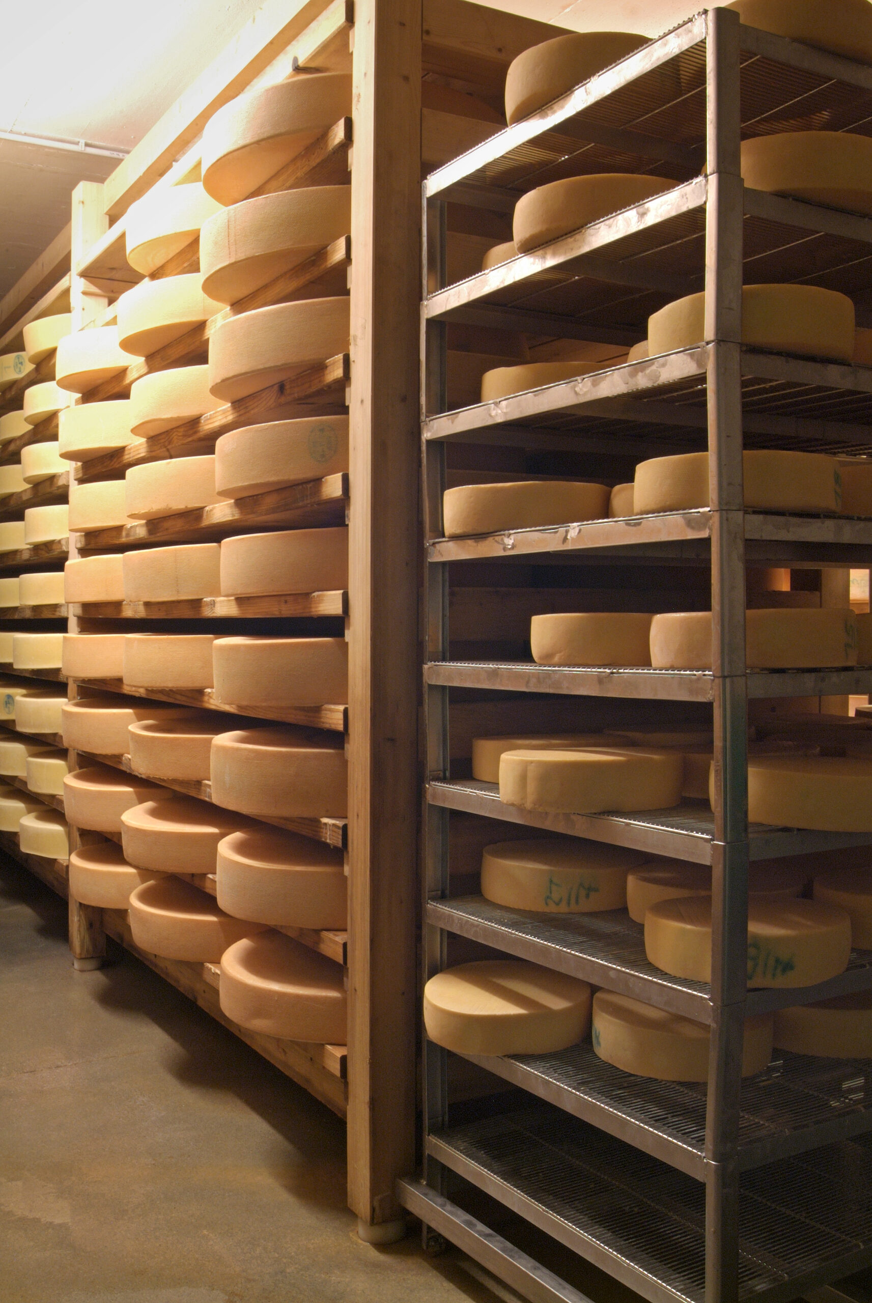 In einem Lagerraum mit Betonboden, der an traditionelle Molkereien in der Nähe des Großen Ahornbodens erinnert, stapeln sich große Käselaibe auf Holz- und Metallregalen und werden von einer sanften Deckenbeleuchtung beleuchtet.