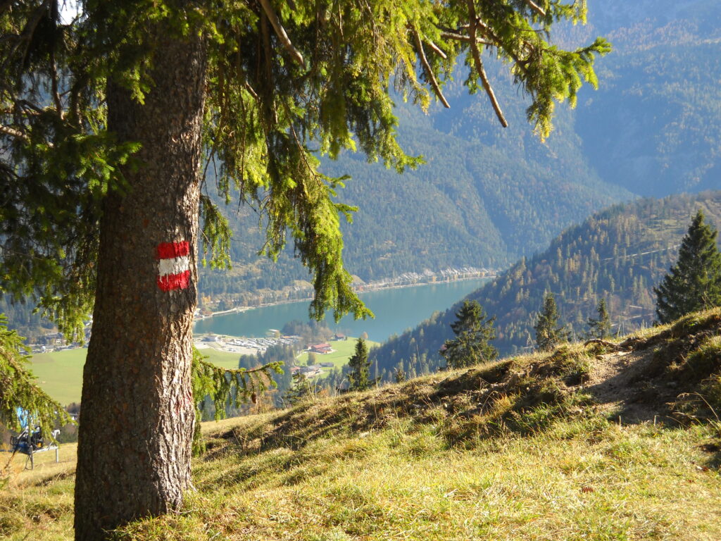 Eine Berglandschaft mit einem See im Hintergrund; ein Baum im Vordergrund, der mit zwei horizontalen rot-weißen Streifen markiert ist, deutet auf den Beginn der Moosenalm Wanderung hin.