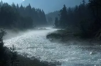 Ein schnell fließender Fluss, der Isarursprung, schlängelt sich durch dichte Kiefernwälder, während Nebel über dem Wasser aufsteigt und die Berge im Hintergrund schwach zu erkennen sind.
