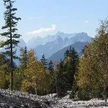 Berglandschaft mit immergrünen und laubabwerfenden Bäumen im Vordergrund, felsigem Boden und fernen Bergen unter einem klaren blauen Himmel - perfekt für alle, die von Abenteuern in München Venedig Weitwandern träumen.