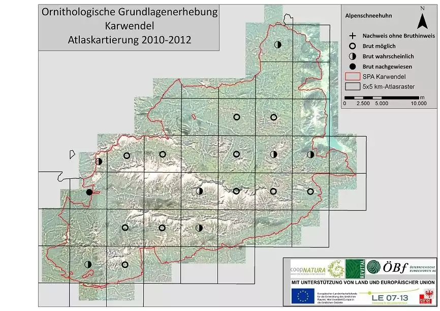 Karte des Karwendels mit dem Erhebungsraster 2010-2012 für das Alpenschneehuhn, mit Symbolen für den Brutstatus und einer markierten SPA-Grenze. Text und Logos erscheinen am unteren Rand.
