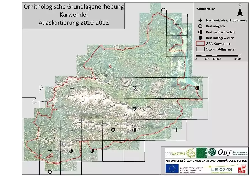 Karte mit den Brutplätzen des Wanderfalken im Karwendel von 2010-2012, mit Symbolen für bestätigte, mögliche und wahrscheinliche Standorte sowie dem markierten SPA-Gebiet.