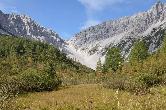 Ein Gebirgstal mit grasbewachsenen Wiesen im Vordergrund, bewaldeten Hängen und felsigen, zerklüfteten Gipfeln unter einem strahlend blauen Himmel - ein perfekter Lebensraum für das scheue Birkhuhn.