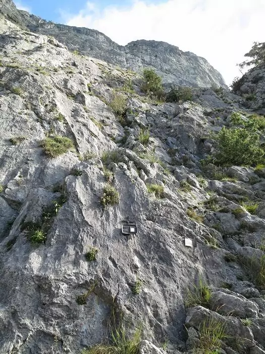 Ein steiler, felsiger Berghang mit spärlicher Vegetation und zwei kleinen, an der Felsoberfläche angebrachten Tafeln, der häufig von dem flinken Wanderfalken aufgesucht wird.
