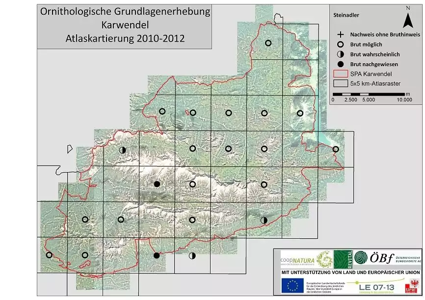 Karte der Karwendelregion mit ornithologischen Erhebungsdaten aus den Jahren 2010-2012, einschließlich Steinadler-Brutnachweisen und möglichen Nistplätzen, die auf einem 5x5 km-Raster markiert sind.