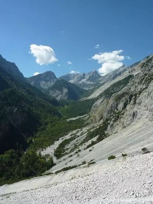 Ein Gebirgstal mit felsigen Hängen, grünen Wäldern und fernen Gipfeln unter einem klaren blauen Himmel, in dem ein Steinadler über die Landschaft ragt.