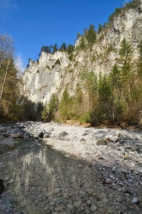 Ein flacher, felsiger Bach fließt durch ein bewaldetes Gebiet, in dem ein Uhu auf der steilen, felsigen Klippe im Hintergrund unter einem klaren, blauen Himmel still vor sich hin hockt.