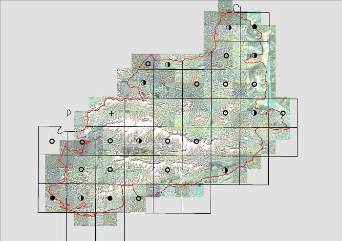 Eine in Rasterquadrate unterteilte Karte mit roter Umrandung und schwarzen Punkten, die Dreizehenspecht-Standorte im Gelände markieren.