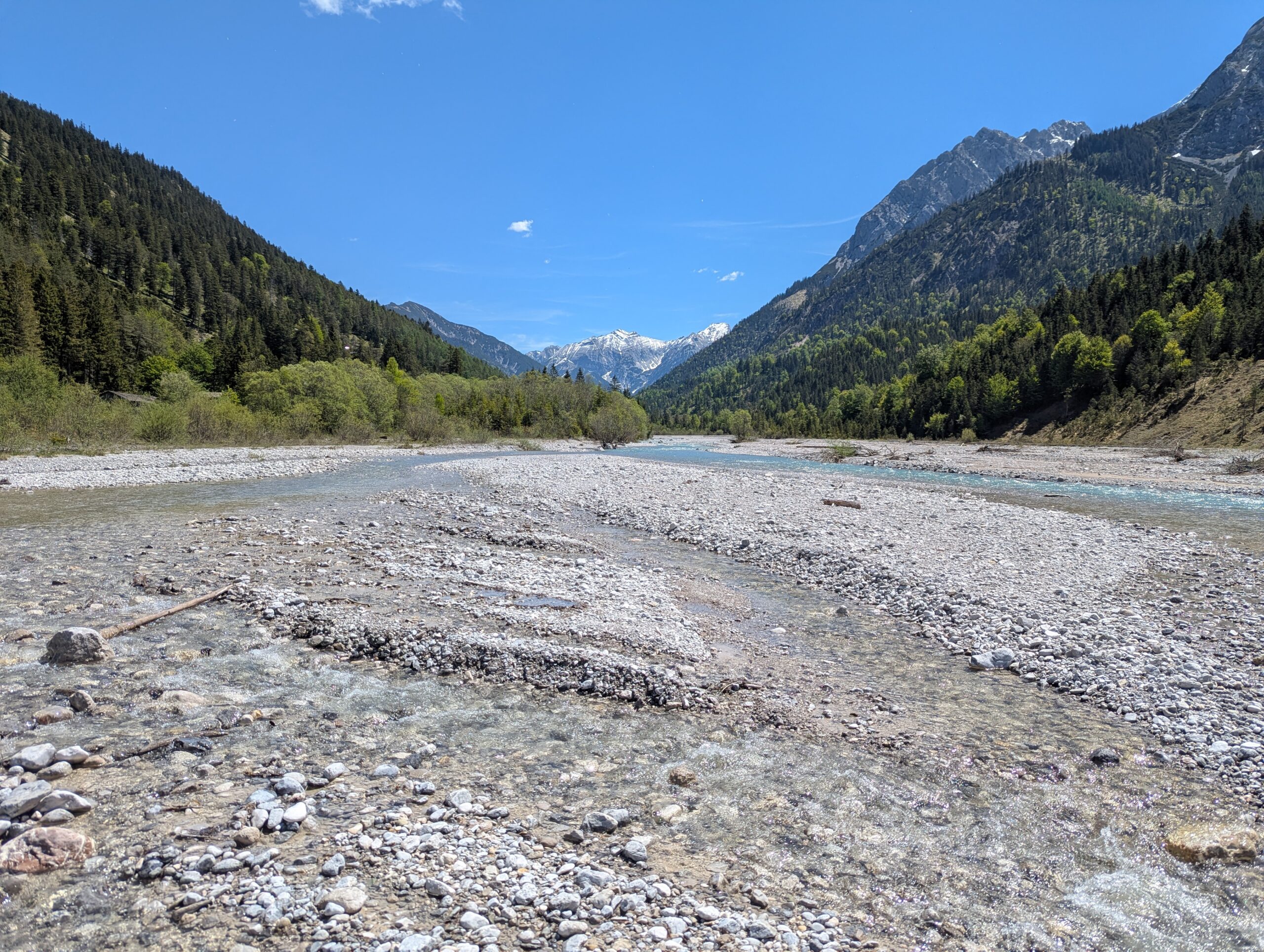 Ein flacher, felsiger Fluss fließt durch ein weites Tal, das von bewaldeten Bergen gesäumt ist, unter einem strahlend blauen Himmel, wo die nachhaltige Fischerei am Rissbach zum Erhalt des Ökosystems beiträgt. In der Ferne ragen schneebedeckte Gipfel empor.
