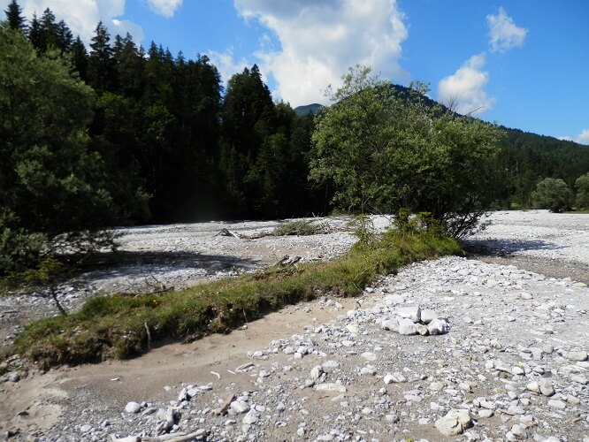 Ein trockenes, felsiges Flussbett mit vereinzelten grünen Sträuchern und Bäumen, Teil eines Interregprojekts, wird von einem dichten Wald unter einem teilweise bewölkten blauen Himmel begrenzt.