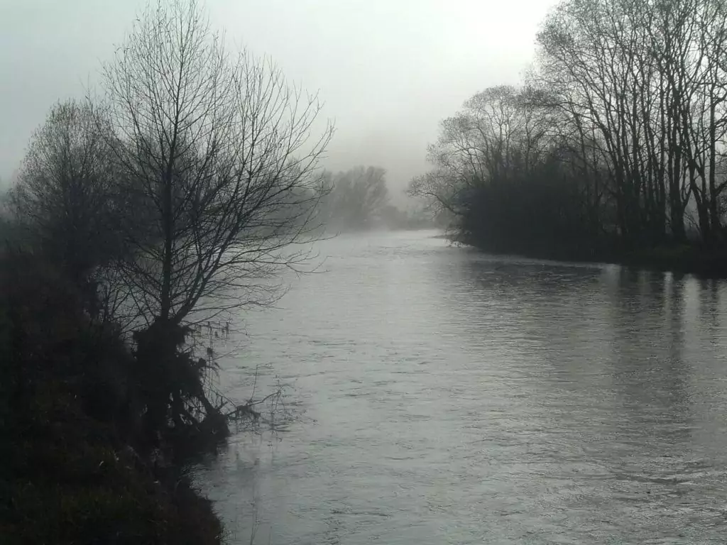 Eine neblige Flussszene mit kahlen Bäumen an beiden Ufern und ruhigem Wasser, in dem sich der bedeckte Himmel spiegelt, evoziert ein Gefühl des ruhigen Übergangs - die perfekte Inspiration für ein Interregprojekt zur Erforschung grenzüberschreitender Landschaften.