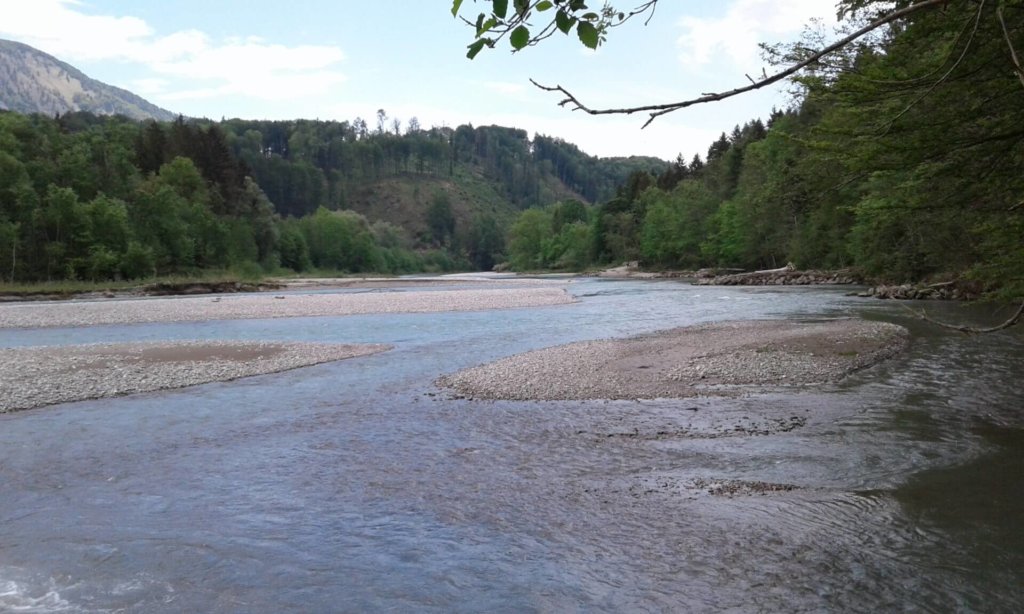 Ein Fluss fließt durch eine bewaldete Landschaft, mit Kiesbänken und Bäumen an beiden Ufern unter einem teilweise bewölkten Himmel - eine idyllische Szene, die durch das Interregprojekt geprägt wurde.
