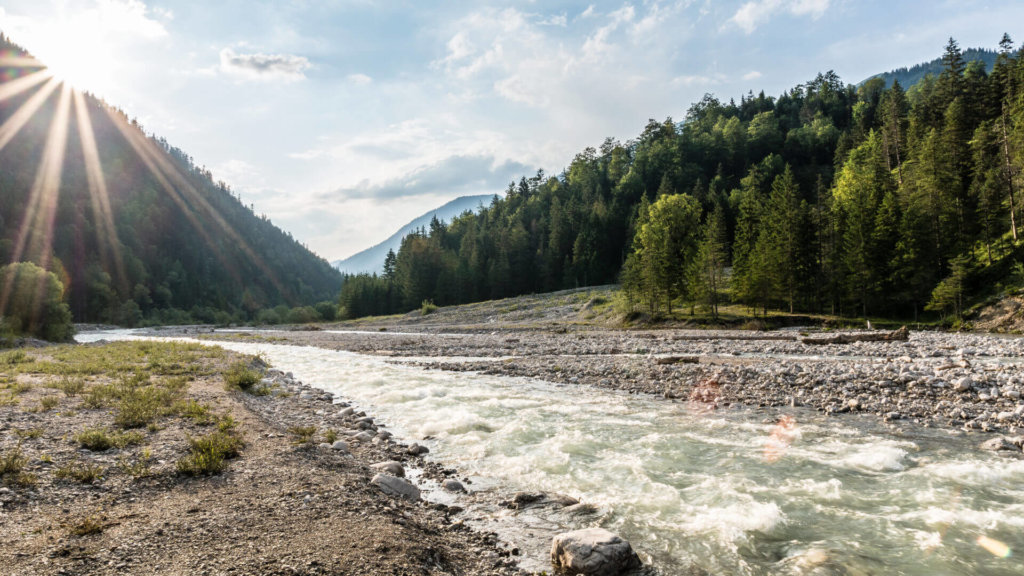 Ein schnell fließender Fluss fließt durch ein felsiges Tal, das von bewaldeten Hügeln umgeben ist. Von links dringt Sonnenlicht ein, während der Himmel teilweise bewölkt ist - ideal für nachhaltige Fischerei am Rissbach.