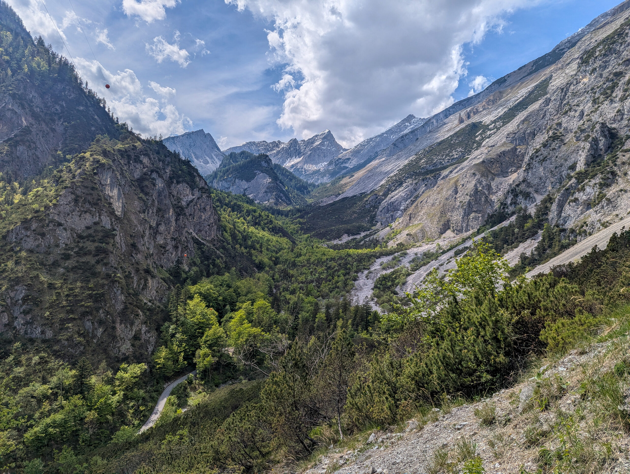 Berglandschaft mit steilen felsigen Hängen, grünem bewaldetem Tal, kurvenreicher Straße und teilweise bewölktem Himmel. Eine Alpendohle erhebt sich über die Szene, während sich im Hintergrund schneebedeckte Gipfel majestätisch erheben.
