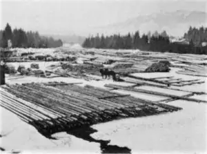Auf dem schneebedeckten Boden einer winterlichen Landschaft sind Baumstämme aufgereiht und bieten einen klaren Überblick. Zwei Pferde und eine Person stehen in der Nähe des Zentrums. Bäume und ferne Hügel umrahmen diese ruhigen Holzwege.