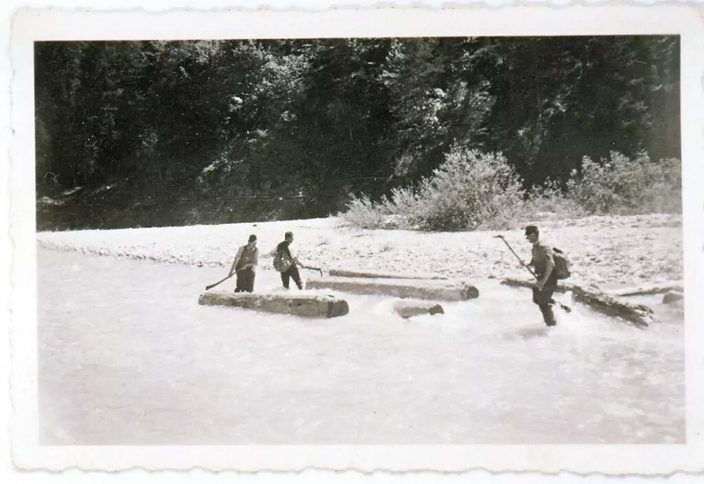Drei Personen stehen im flachen Wasser und manövrieren große Stämme mit Stangen während einer traditionellen Trift in der Nähe eines bewaldeten Flussufers.