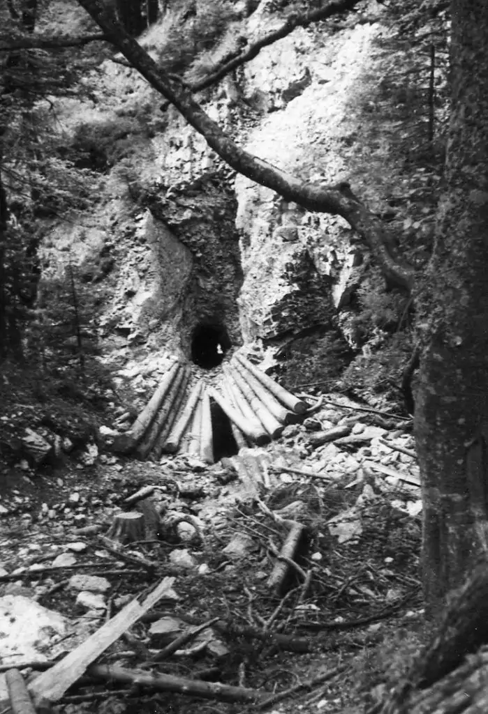 Schwarz-Weiß-Foto des Loiten- und Riesentunnel-Eingangs in einem felsigen Hang, mit davor angeordneten Baumstämmen und verstreuten Trümmern und Bäumen in der Umgebung.