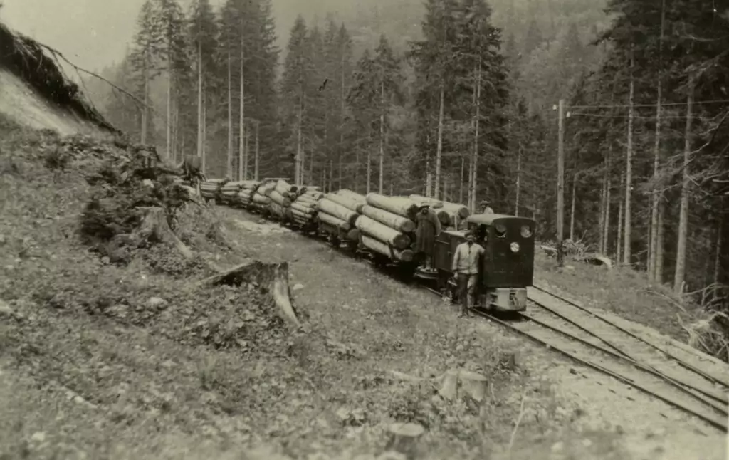 Ein mit Baumstämmen beladener kleiner Zug fährt auf einem Gleis durch ein Waldgebiet; zwei Personen stehen neben der Lokomotive.