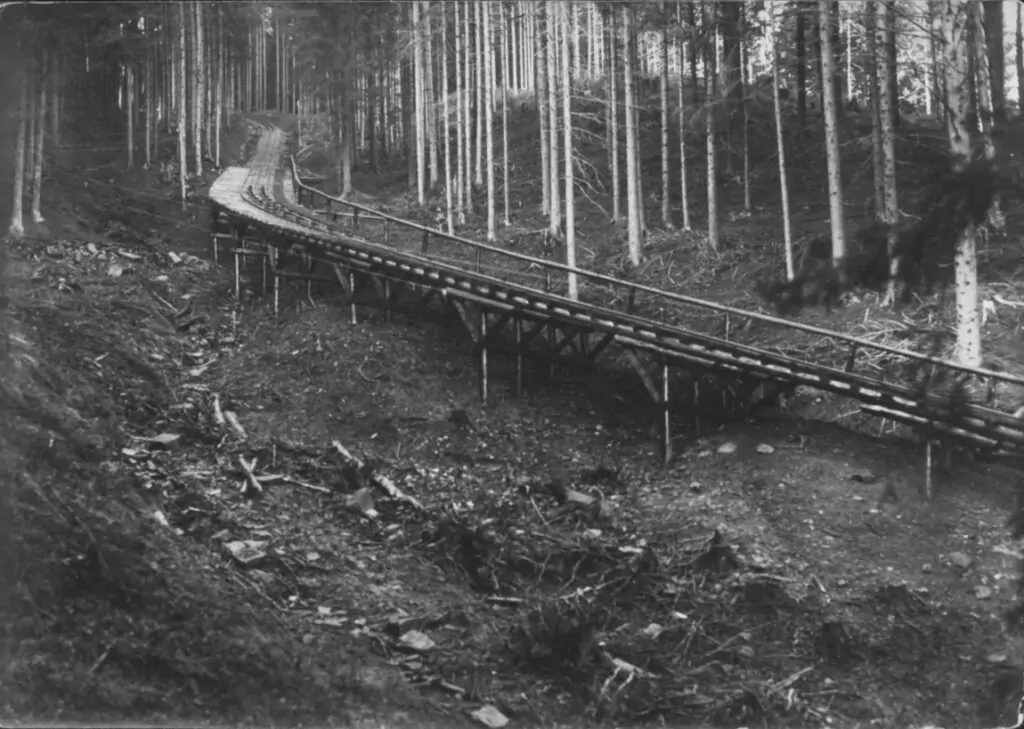 Durch den Wald der Grafenaschau zieht sich ein hölzernes Leitungsbauwerk, aufgeständert auf Stützen, mit Baumstümpfen und gerodetem Boden darunter.
