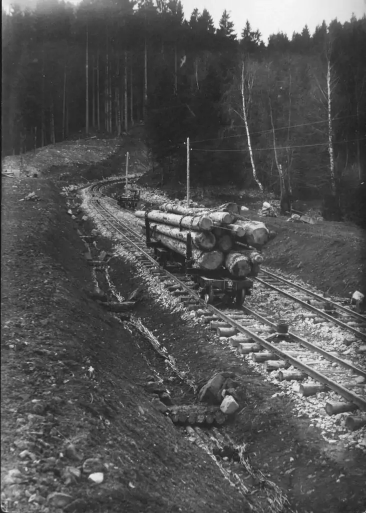 Ein mit Holzstämmen beladener Wagen der Bremsbergbahn fährt auf den Gleisen durch ein Waldgebiet, umgeben von Bäumen und unwegsamem Gelände.