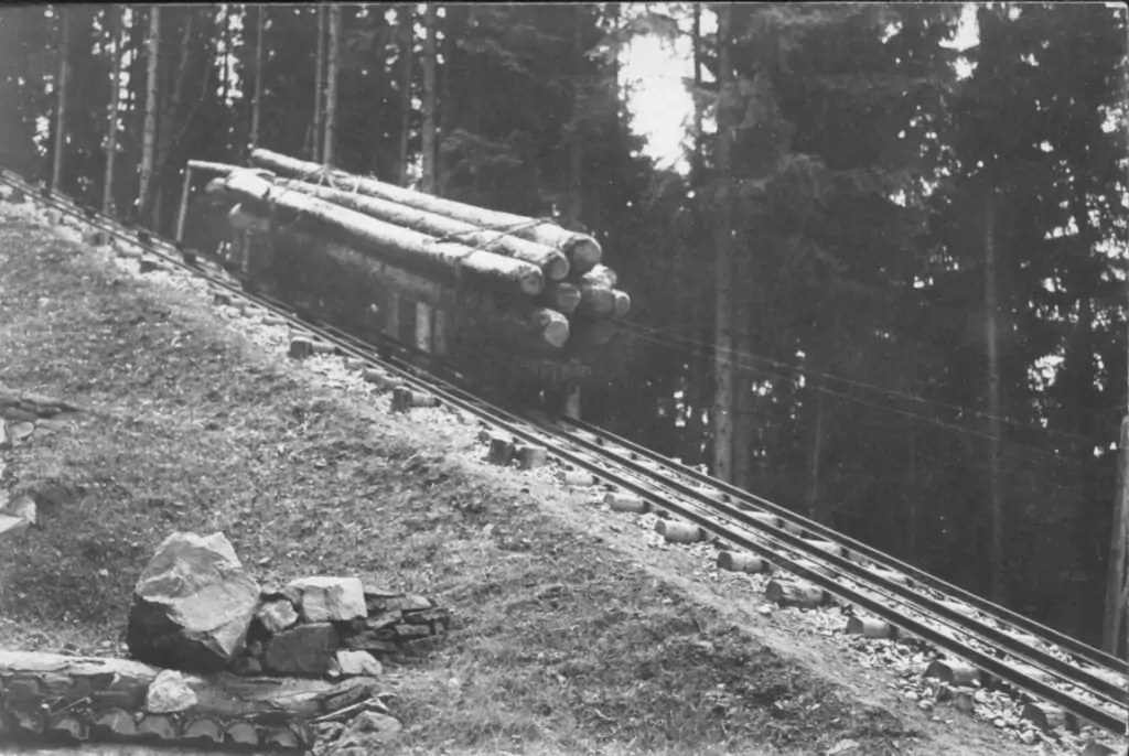 Ein mit großen Baumstämmen beladener Waggon fährt auf einer Bremsbergbahn einen steilen, bewaldeten Hang hinauf.