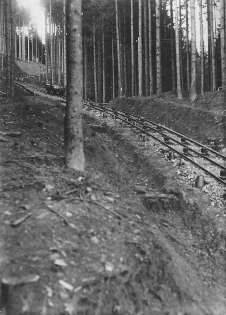 Eine schmalspurige Bremsbergbahn führt bergauf durch einen dichten Wald, mit Baumstämmen auf beiden Seiten und unebenem Boden neben den Schienen.