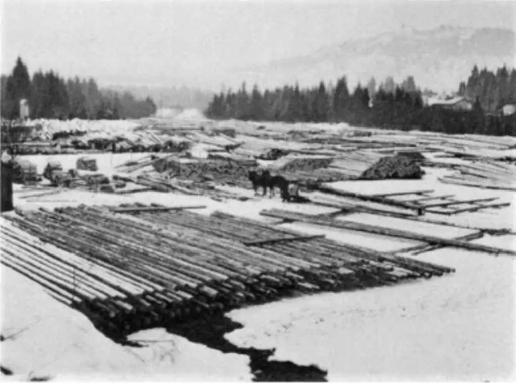 Auf verschneiten Feldern liegen Holzstapel, zwischen denen zwei Pferde und eine Person stehen, daneben ein Pferdeschlitten; im Hintergrund sind Kiefern und ferne Hügel zu sehen.