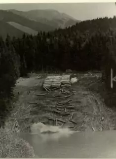 Ein Schwarz-Weiß-Foto zeigt Stapel von gefällten Baumstämmen und verstreutes Holz in der Nähe des Waldrandes von Trift, während sich im Hintergrund die Berge erheben.