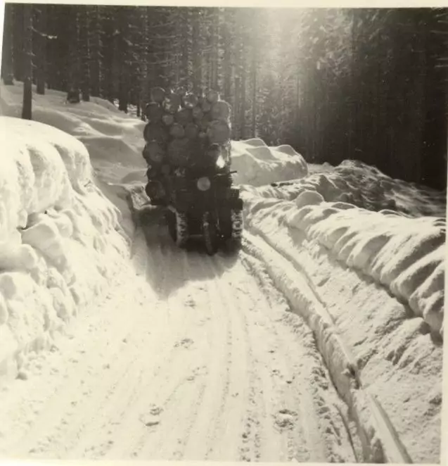 Ein beladener Raupenfahrzeug-Traktor transportiert Baumstämme auf einem schmalen, schneebedeckten Weg, der von hohen Schneewällen in einem Waldgebiet begrenzt wird.