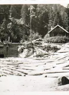 Schwarz-Weiß-Foto von auf dem Wasser treibenden Triftstämmen in der Nähe einer Holzhütte, mit dichtem Wald im Hintergrund.