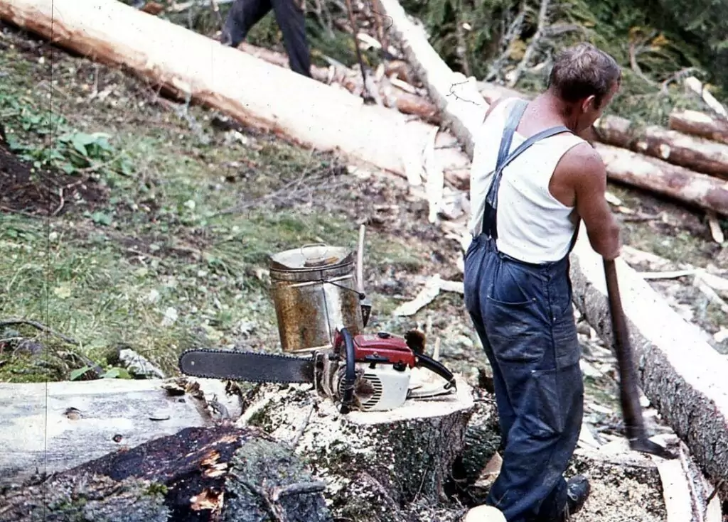 Ein Mann in Latzhose steht neben einem gefällten Baum und einer Holzerwerkzeug-Kettensäge in einem Wald, in dem Holzstämme und Holzspäne verstreut sind.