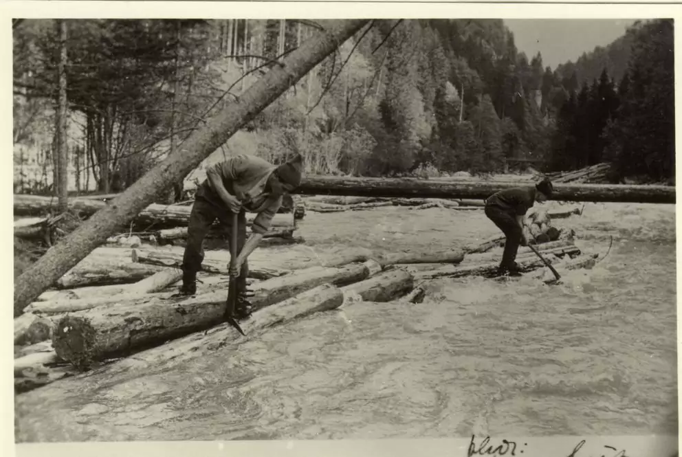 Zwei Personen stehen auf Triftstämmen in einem Fluss und benutzen Stangen, um sich im Wasser zu bewegen; im Hintergrund sind Bäume und Wald zu sehen.