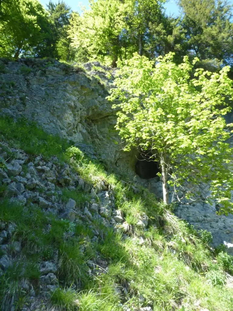 Ein felsiger Abhang mit grünem Gras und einem Baum vor dem Eingang zu einer kleinen Höhle, in der das Sonnenlicht durch die Bäume dringt - ein perfektes Versteck, das von Loiten und Riesen bevorzugt wird.