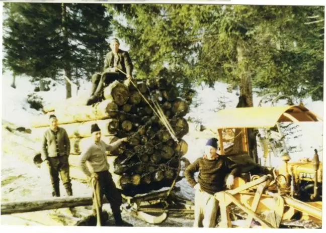 Vier Personen stehen neben einem großen Stapel Baumstämme auf einem Schlitten, eine Person sitzt obenauf. Ein gelber Raupenfahrzeug-Traktor ist in der Nähe in der verschneiten, bewaldeten Gegend geparkt.