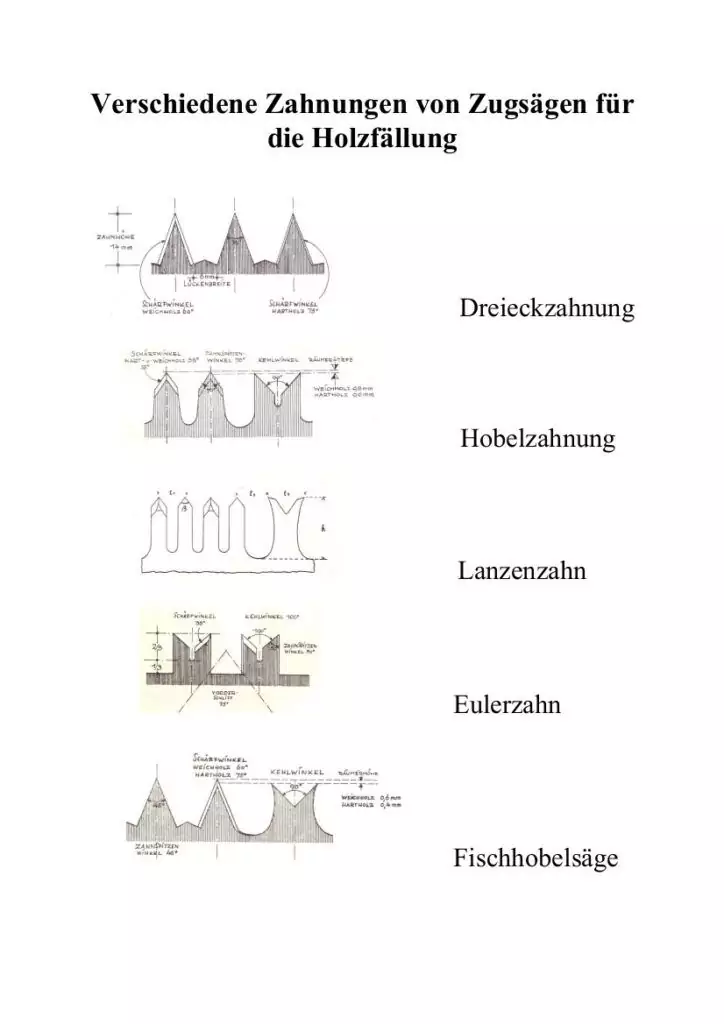 Diagramm mit fünf Arten von Sägezähnen für das Holzschneiden - Dreieckzahnung, Hobelzahnung, Lanzenzahn, Eulerzahn und Fischhobelsäge - mit Abbildungen dieser wichtigen Holzerwerkzeuge in Seiten- und Draufsicht.