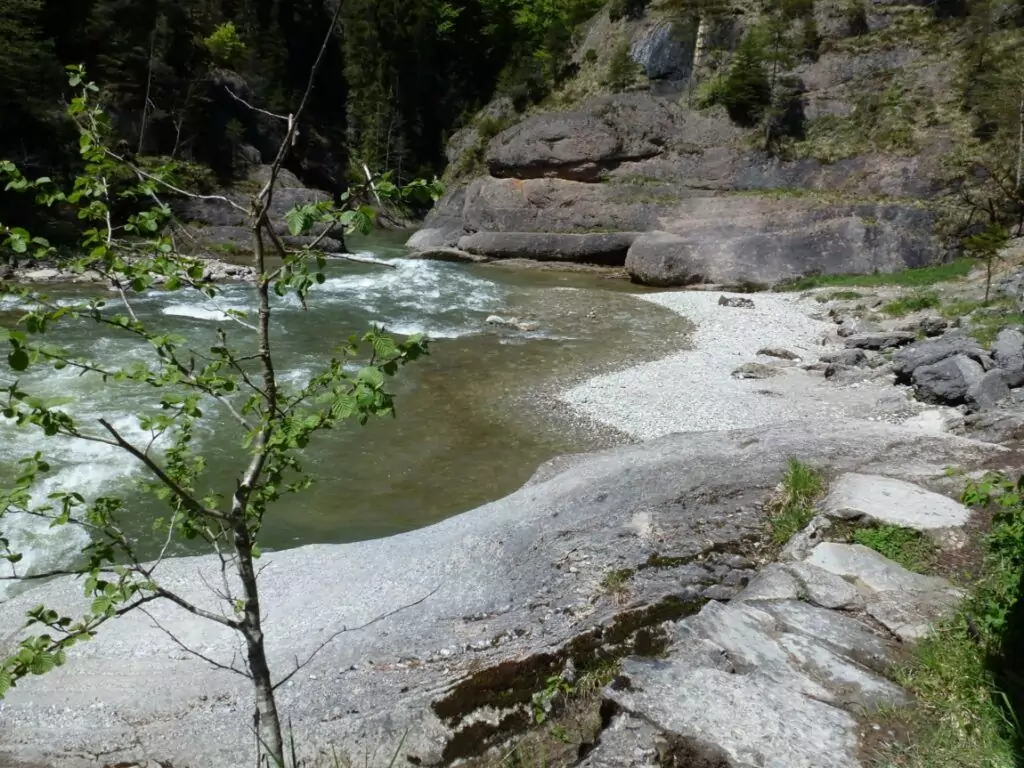 Ein Fluss fließt neben einem felsigen Triftufer mit Bäumen und Klippen im Hintergrund; im Vordergrund ist ein kleiner belaubter Zweig zu sehen.