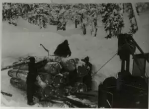 Eine Person steht in der Nähe eines Holzstapels in einem verschneiten Wald, mit Raupenfahrzeugen und Bäumen im Hintergrund.