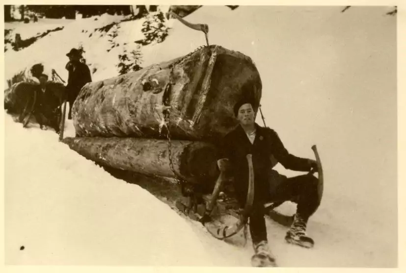 Ein Mann sitzt auf einem großen, mit Holzscheiten beladenen Hornschlitten im Schnee, während im Hintergrund eine weitere Person und ein Pferd zu sehen sind.