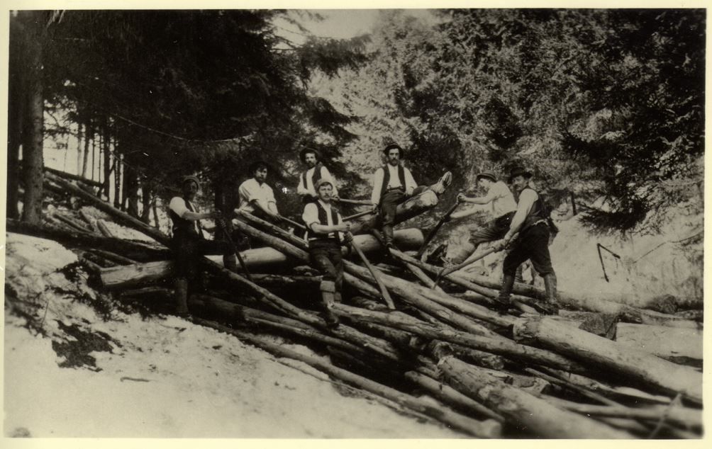 Treiben Wege des Holzes Wiki