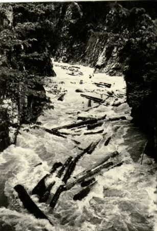 Ein reißender Fluss, der zahlreiche Baumstämme und Geröll, das so genannte Trift, durch eine enge, felsige und von Bäumen umgebene Schlucht trägt.