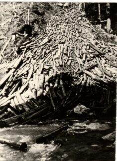 Ein großer Stapel Trift-Stämme ist chaotisch am Flussufer aufgestapelt, wobei einige Stämme ins Wasser ragen.