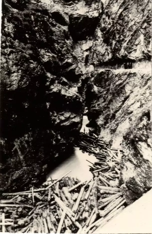 Die Stämme sind zwischen steilen Felsen in einer engen Flussschlucht eingeklemmt, die an die dramatischen Landschaften rund um die Trift erinnert, wobei das Wasser das Holz umspült.