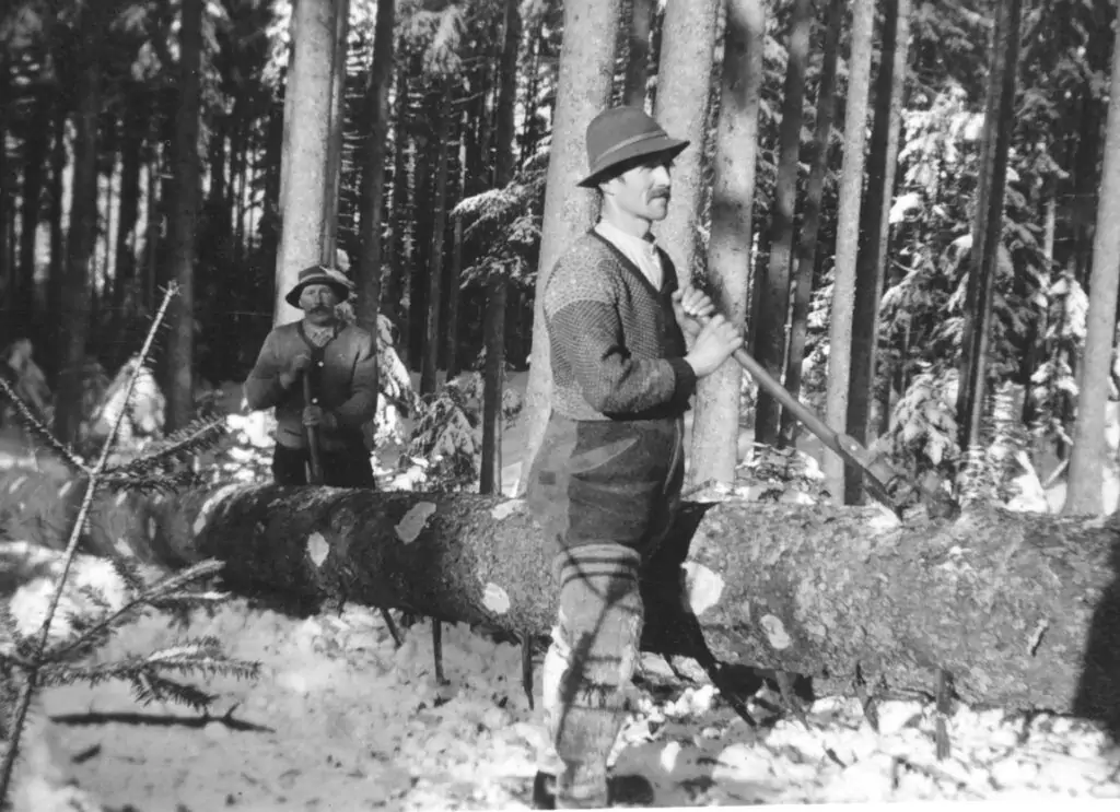 Zwei Männer in Winterkleidung hacken mit Äxten einen großen umgestürzten Baum in einem verschneiten Wald.