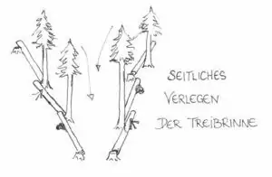 Handgezeichnetes Diagramm mit Bäumen und Stämmen, die seitlich verschoben werden; deutscher Text: "Seitliches Verlegen der Treibrinne.