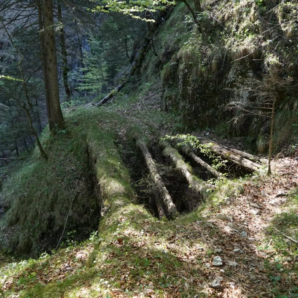 Vier moosbewachsene Holzstämme bilden eine einfache Brücke über eine kleine Schlucht in einem Waldgebiet, wie alte Wege, die zwischen den Bäumen versteckt sind, wobei das Sonnenlicht sanft durch die Blätter fällt.