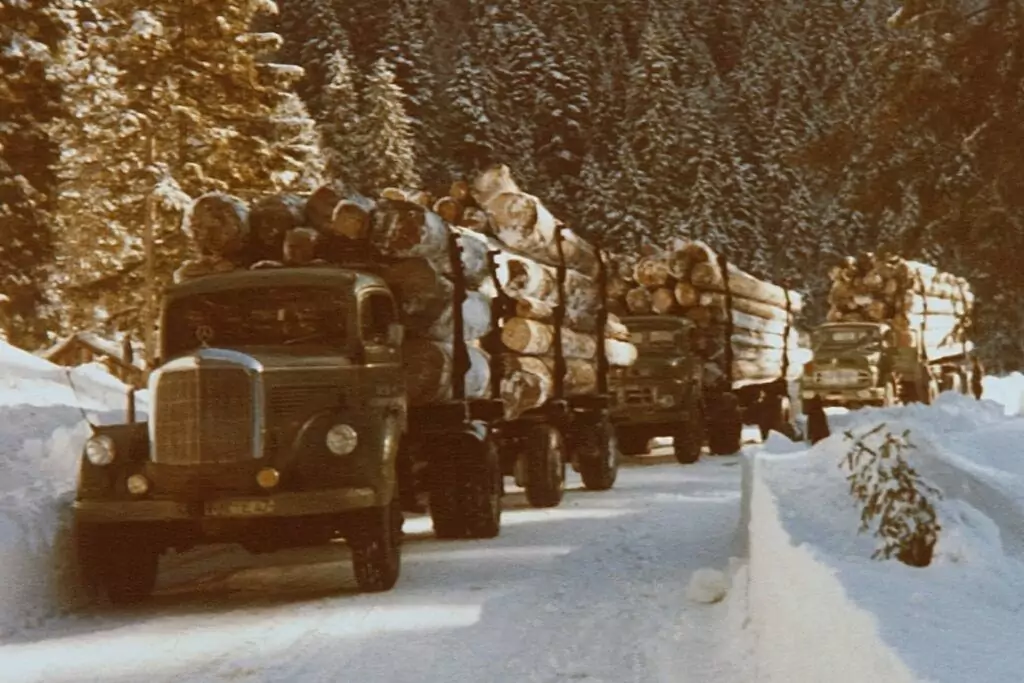 Drei mit großen Baumstämmen beladene Lastwagen fahren auf einer schneebedeckten Straße durch ein Waldgebiet im Winter.