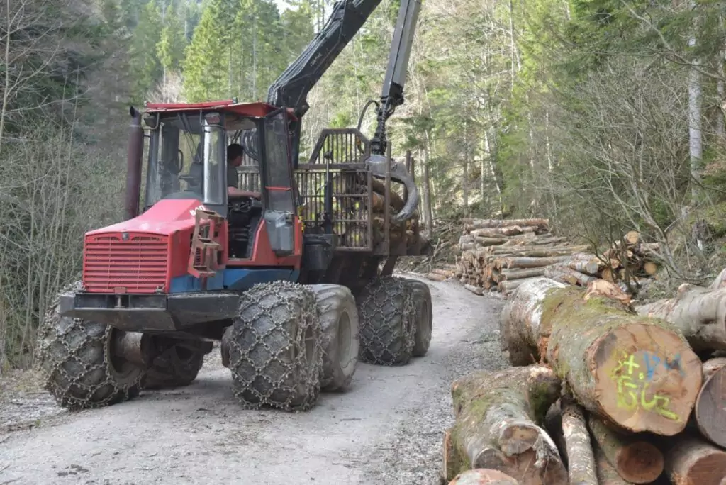 Ein Holzfällerfahrzeug mit Kettenreifen lädt auf einer Forststraße Baumstämme auf seine Ladefläche, während am Straßenrand geschnittene Stämme gestapelt werden.