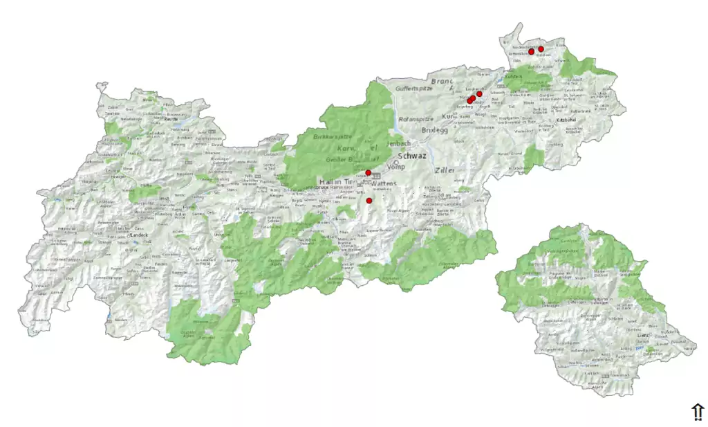 Eine topografische Karte mit grün schraffierten Flächen, auf der mehrere rote Punkte die Fundorte von Sumpf-Glanzkraut in den nördlichen und östlichen Regionen markieren.
