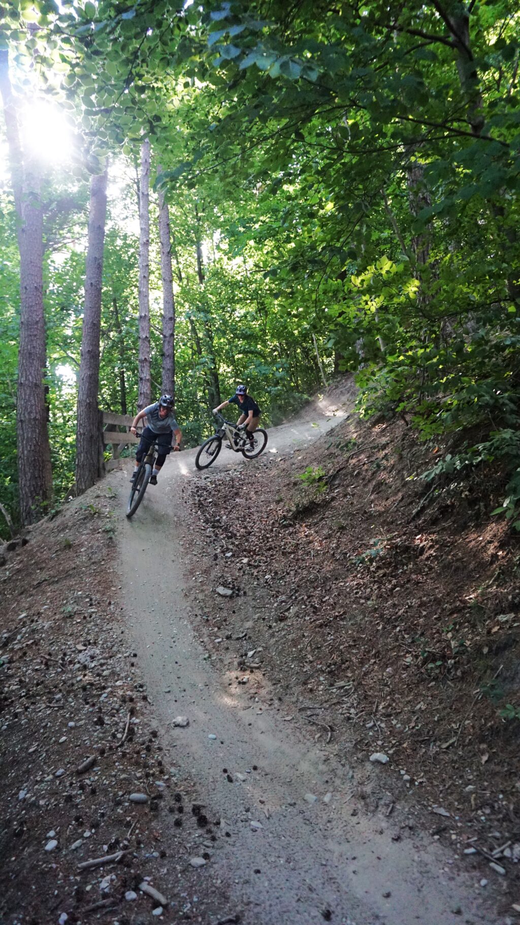 Zwei Radfahrer fahren mit ihren Mountainbikes den Stadtwaldtrail hinunter, einen schmalen Feldweg, der sich an einem sonnigen Tag durch dichte grüne Bäume schlängelt.